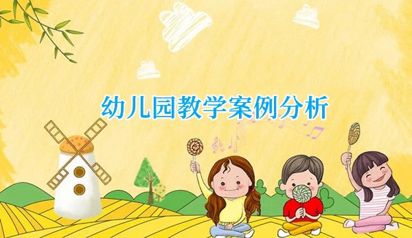 幼儿园教学案例与分析两篇