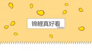幼儿园小班科学教案：锦鲤真好看（含PPT课件图片）