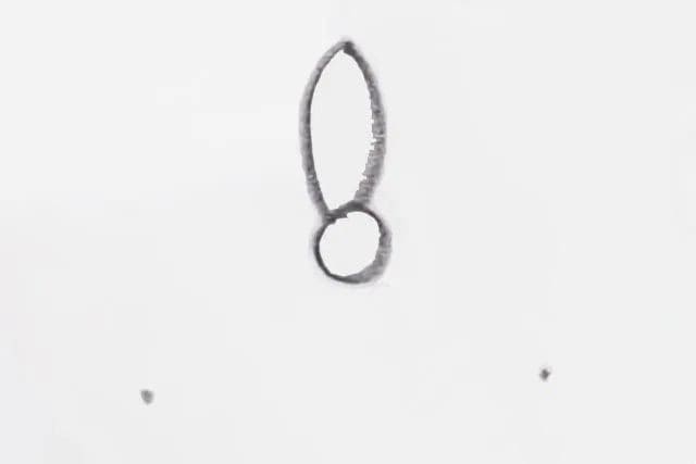 幼儿简笔画一步一步教小孩子画花瓣