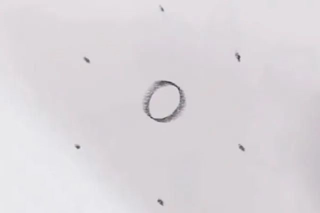 幼儿简笔画一步一步教小孩子画花瓣