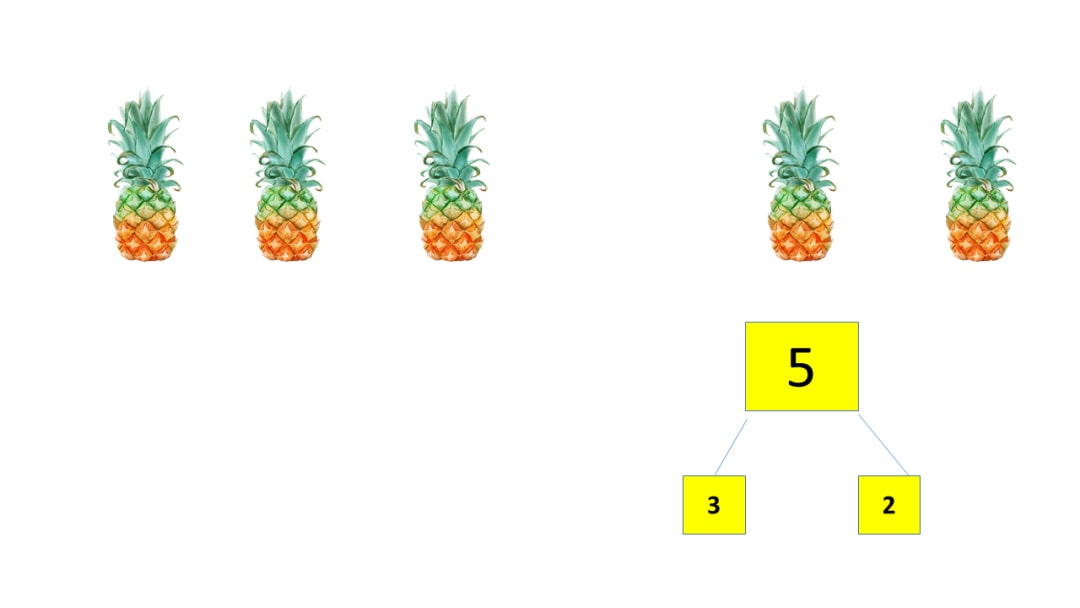 幼儿园中班数学教案：学习5的分解与组成