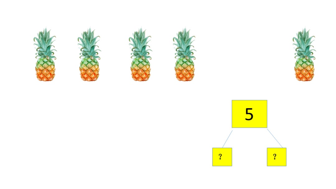 幼儿园中班数学教案：学习5的分解与组成