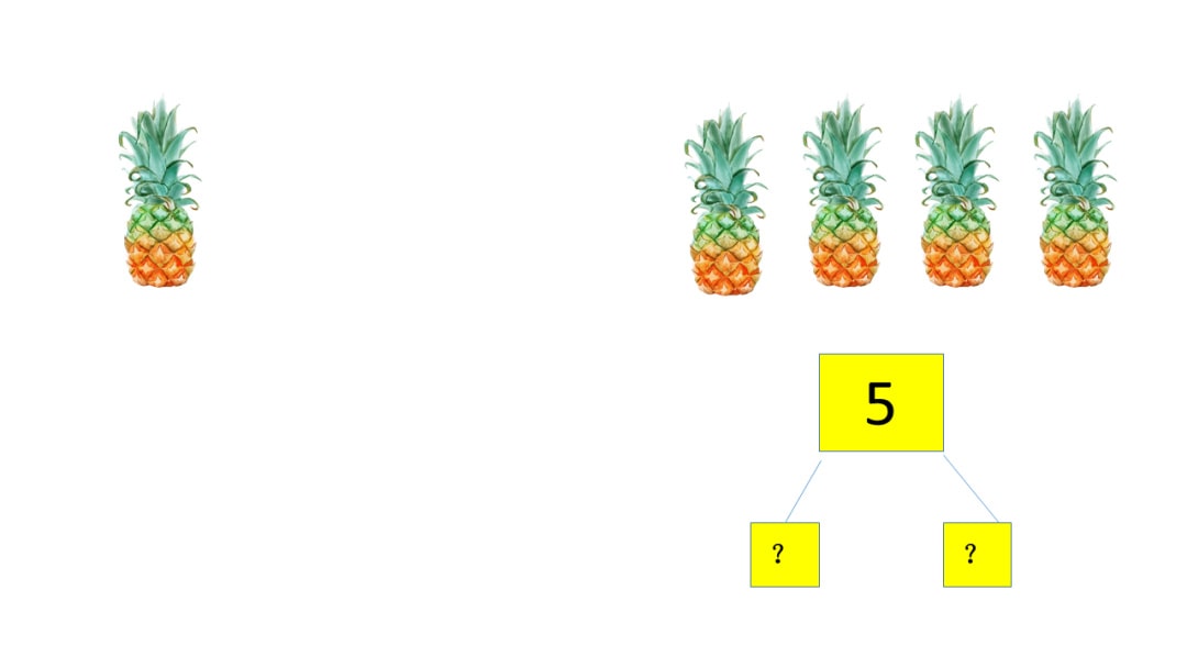 幼儿园中班数学教案：学习5的分解与组成