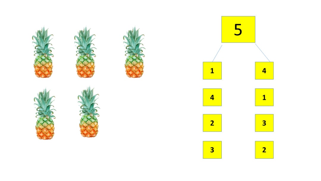 幼儿园中班数学教案：学习5的分解与组成