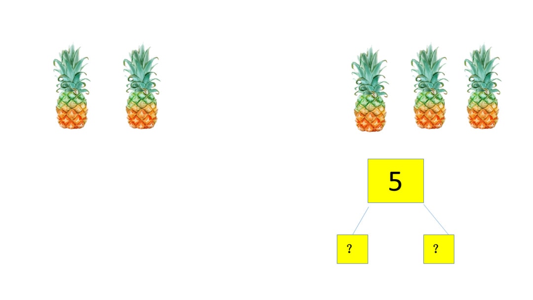 幼儿园中班数学教案：学习5的分解与组成