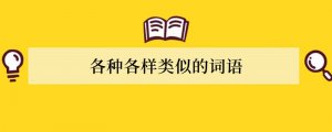 各种各样类似的词语
