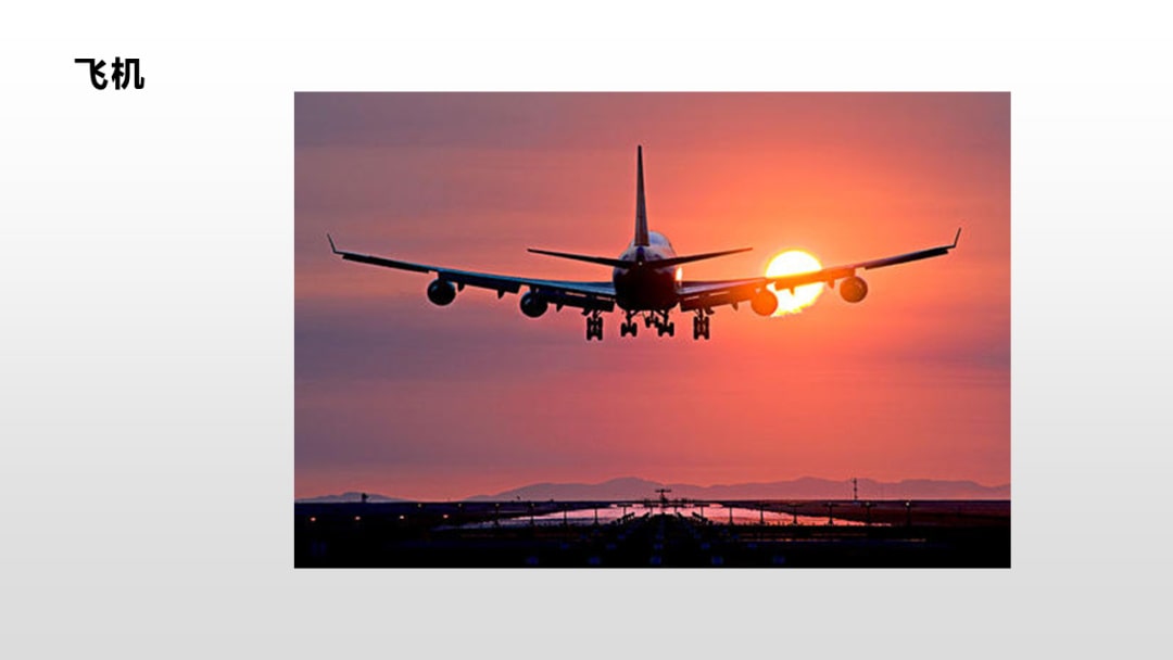 幼儿园中班语言教案：各式各样的车轮