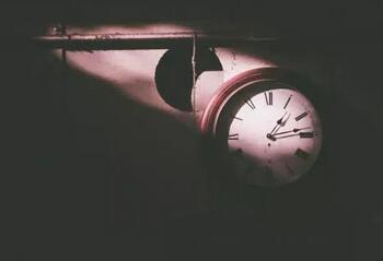 如何欣赏电影？7本经典又易读的电影入门书教你正确的观影姿势