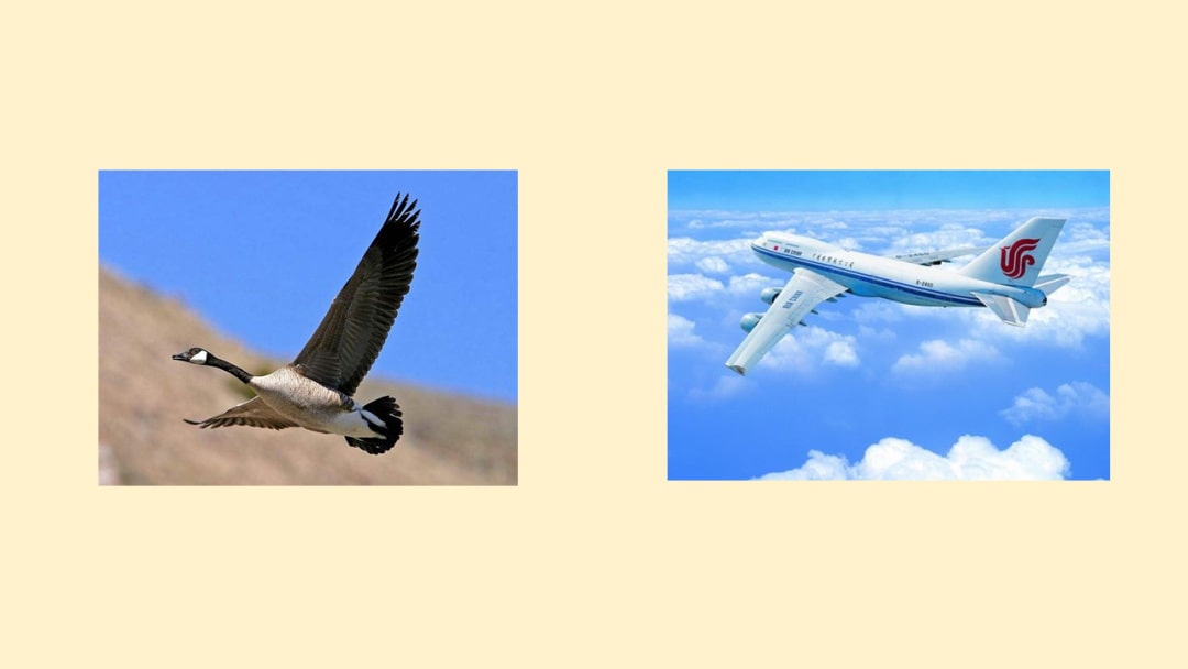 幼儿园幼小衔接科学教案：发明家