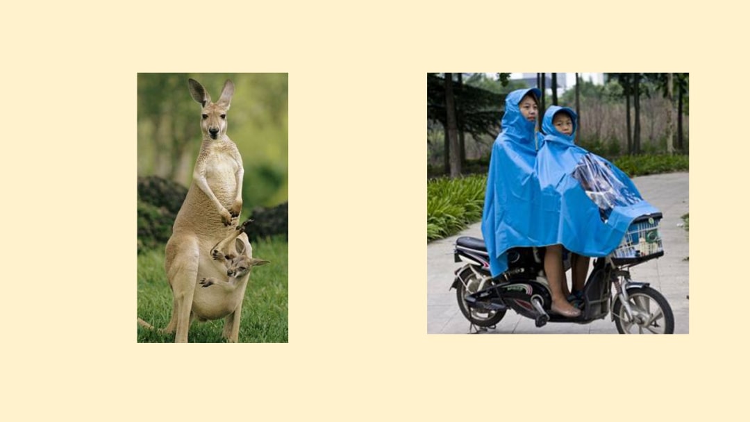 幼儿园幼小衔接科学教案：发明家