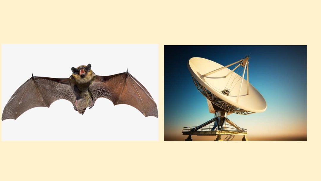 幼儿园幼小衔接科学教案：发明家