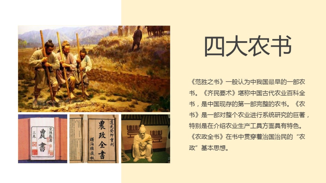 幼儿园幼小衔接科学教案：发明家