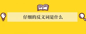 仔细的反义词是什么