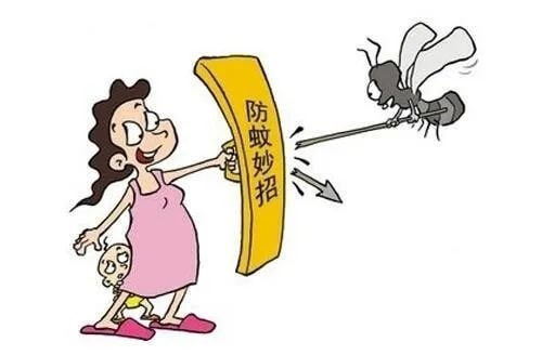 夏季对付蚊子的十五招