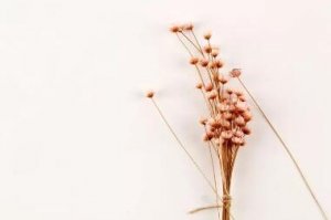 诗集书单：那些让人拿起就放不下的诗集