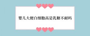 婴儿大便白细胞高是乳糖不耐吗