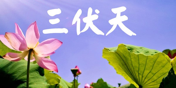 三伏天是什么意思