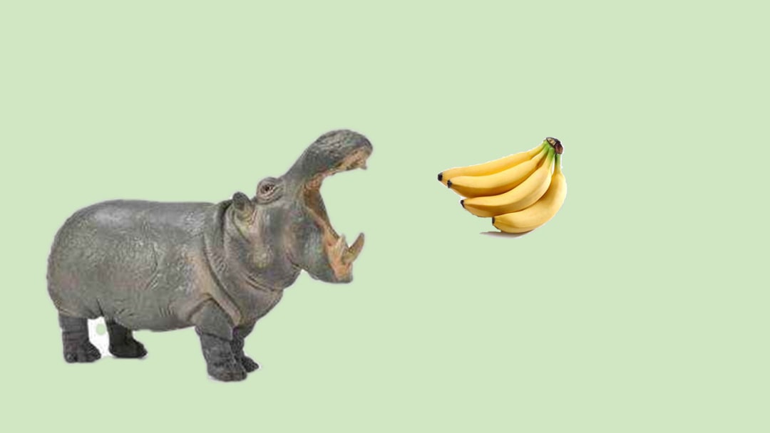 幼儿园幼小衔接数学教案：比字卡