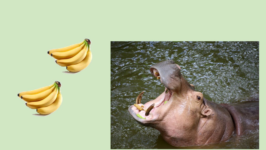 幼儿园幼小衔接数学教案：比字卡