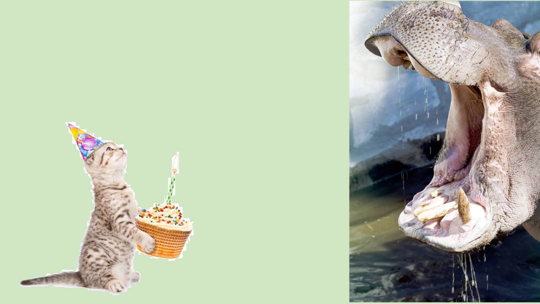 幼儿园幼小衔接数学教案：比字卡