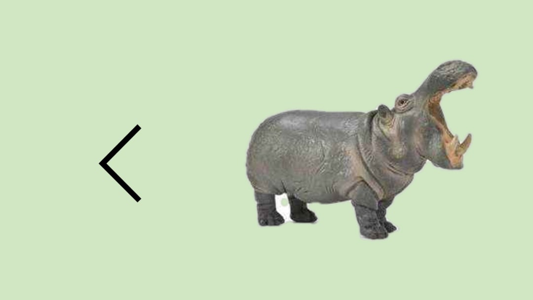 幼儿园幼小衔接数学教案：比字卡