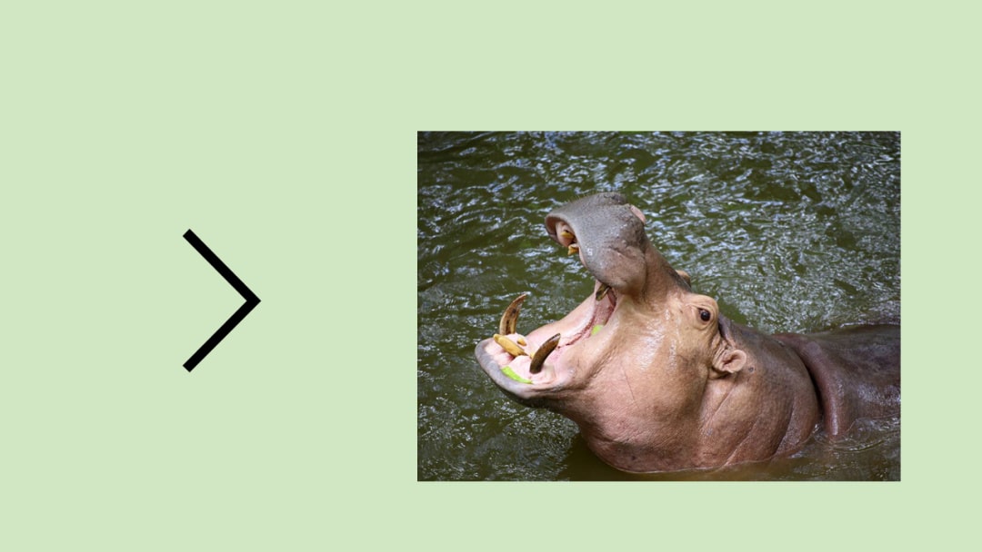 幼儿园幼小衔接数学教案：比字卡