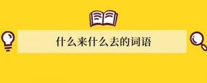 什么来什么去的词语