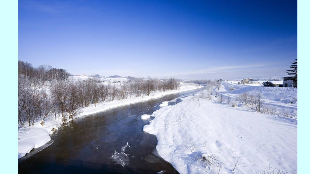 幼儿园幼小衔接音乐教案：为什么