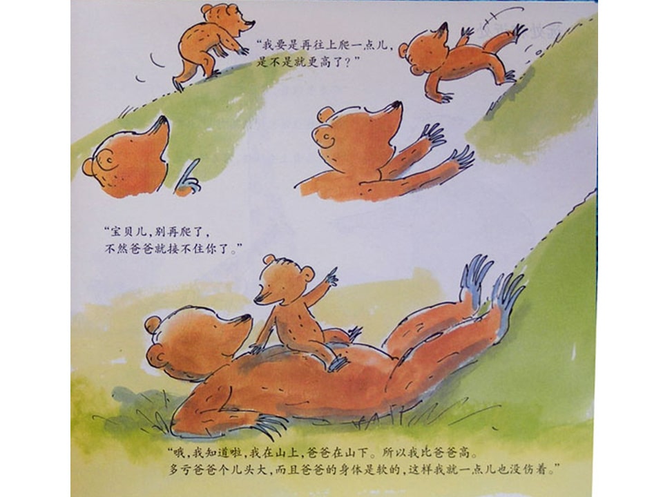 幼儿园绘本故事推荐《小熊和最好的爸爸4-看世界》