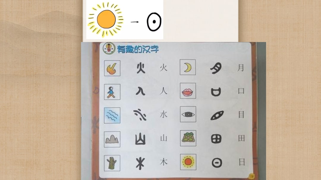 幼儿园幼小衔接科学教案：分一分
