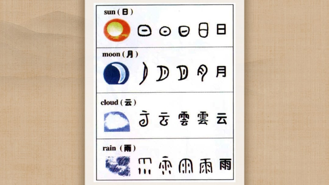 幼儿园幼小衔接科学教案：分一分