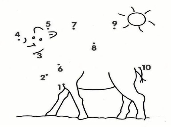 幼儿园社会教案：公平竞争 快乐游戏