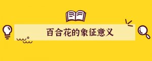 百合花的象征意义
