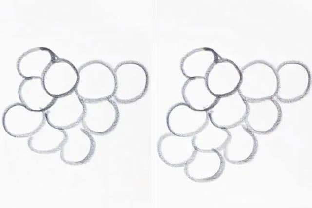 教小孩子一步一步画一串葡萄简笔画(步骤图解)