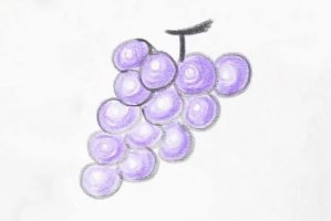 教小孩子一步一步画一串葡萄简笔画(步骤图解