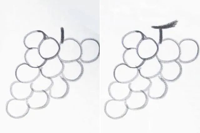 教小孩子一步一步画一串葡萄简笔画(步骤图解)