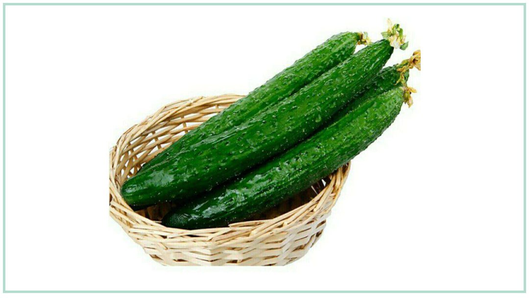 幼儿园幼小衔接健康教案：茁壮成长