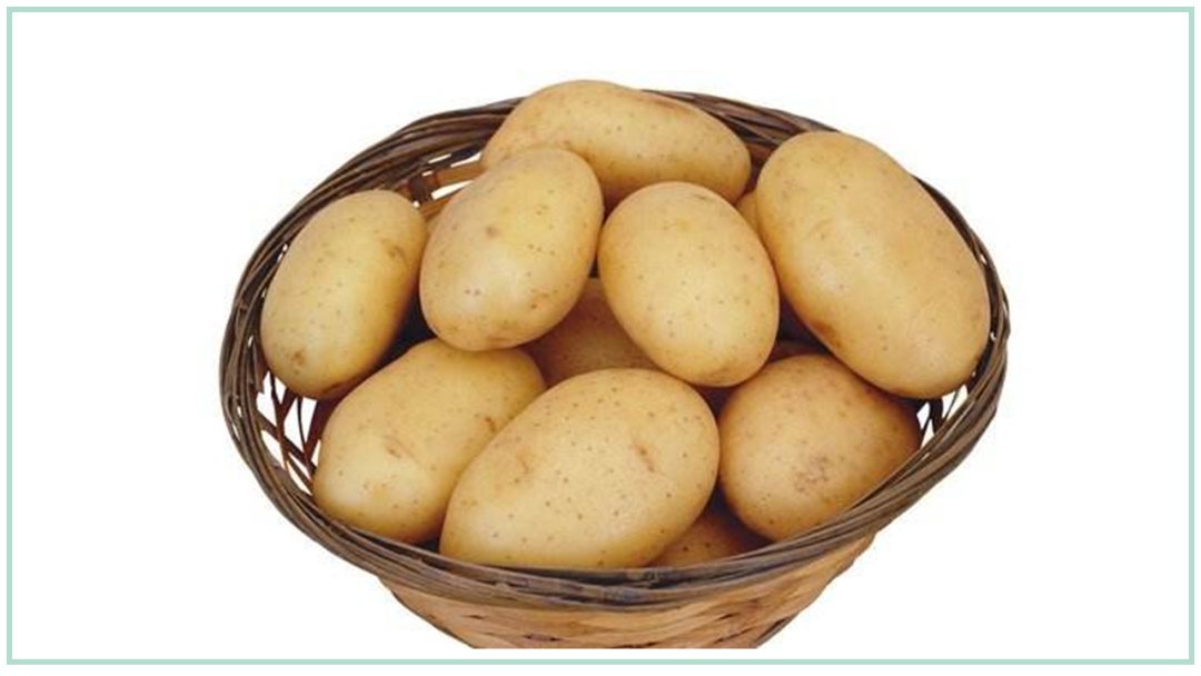 幼儿园幼小衔接健康教案：茁壮成长