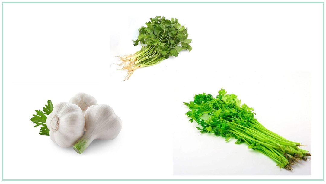 幼儿园幼小衔接健康教案：茁壮成长