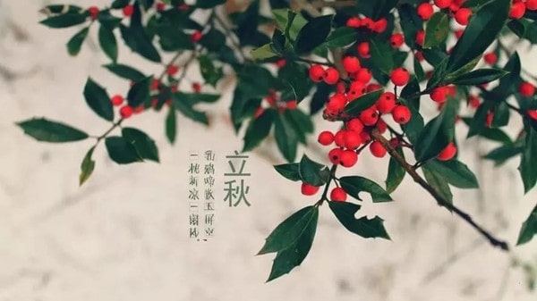 30首关于立秋的经典古诗词