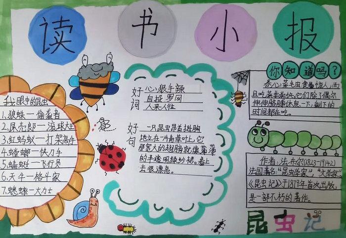 阅读小报的手抄报图片