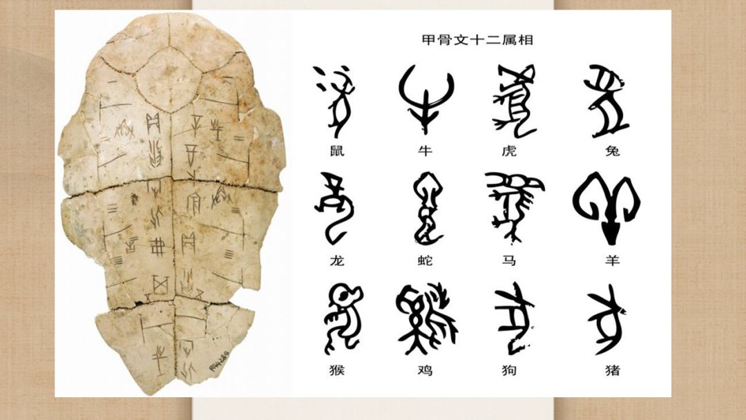 幼儿园幼小衔接语言教案：汉字中的象形文字