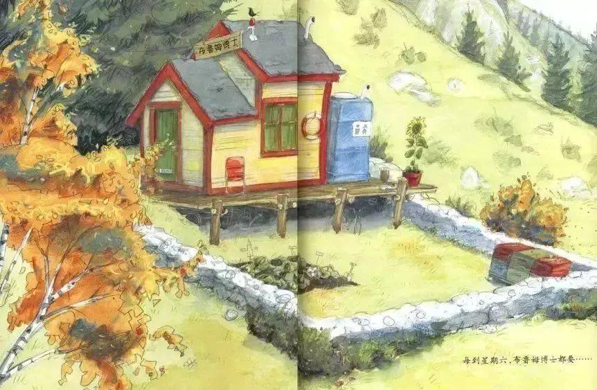 《大熊布鲁姆博士系列1-布鲁姆博士搞不懂》