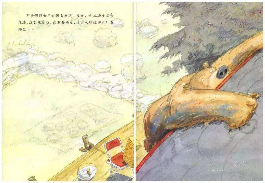 《大熊布鲁姆博士系列1-布鲁姆博士搞不懂》