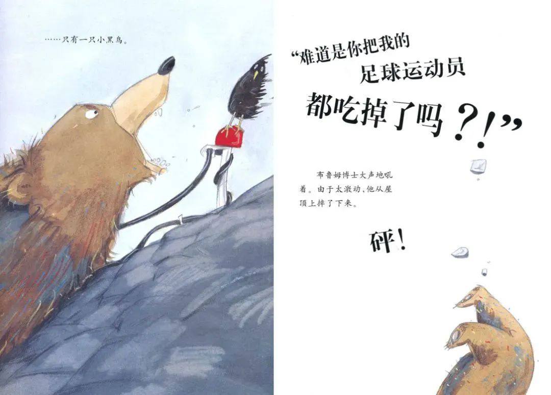 《大熊布鲁姆博士系列1-布鲁姆博士搞不懂》