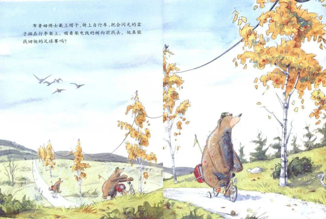 《大熊布鲁姆博士系列1-布鲁姆博士搞不懂》