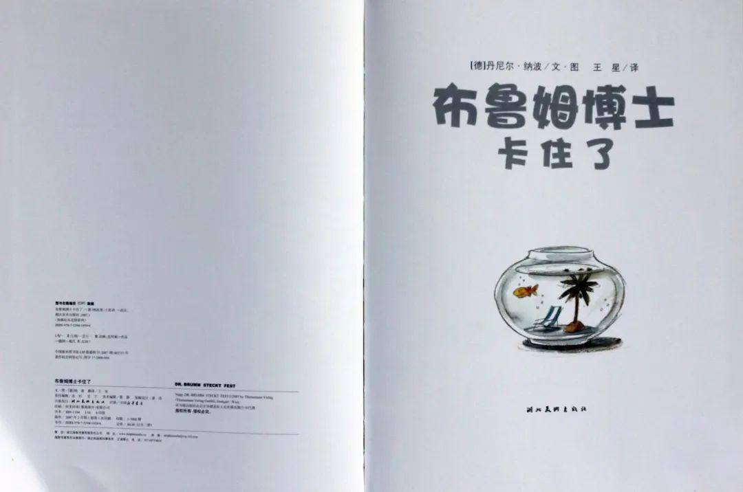 《大熊布鲁姆博士系列2-布鲁姆博士卡住了》