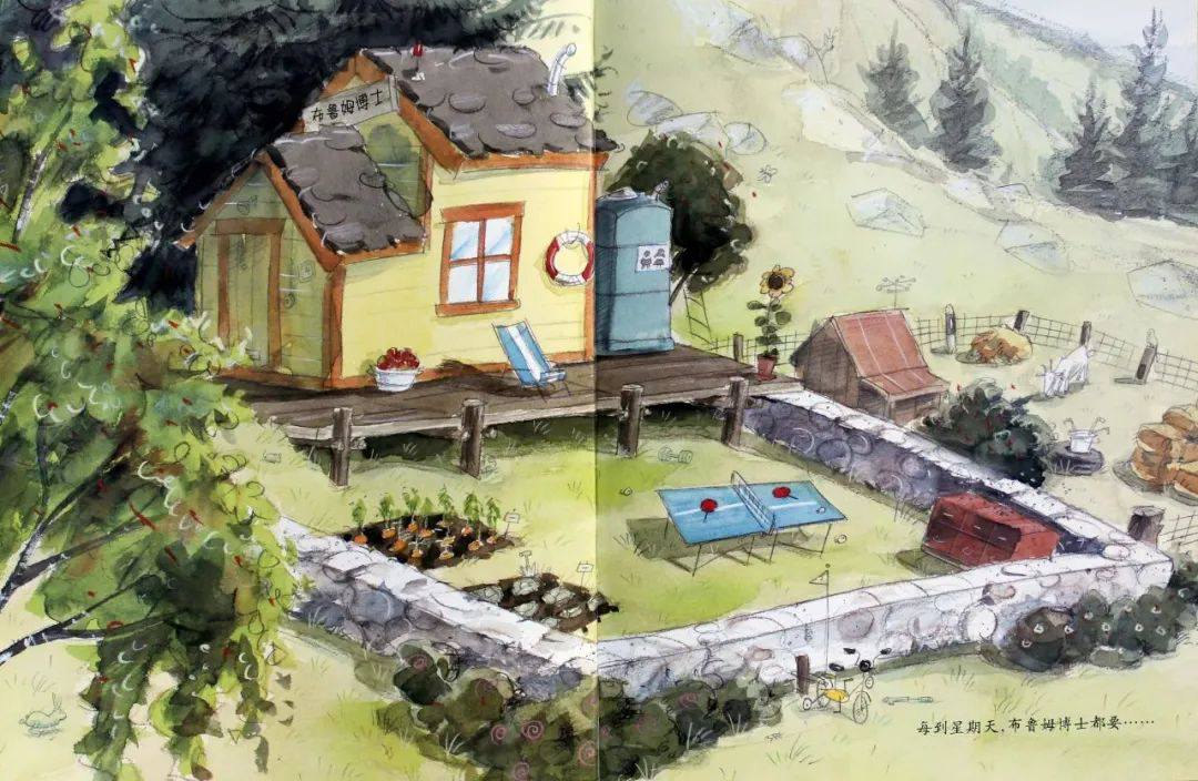 《大熊布鲁姆博士系列2-布鲁姆博士卡住了》