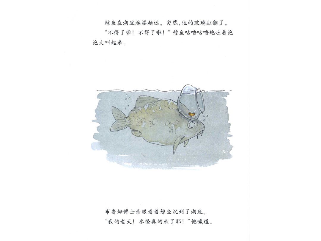 《大熊布鲁姆博士系列3-布鲁姆博士去游泳》