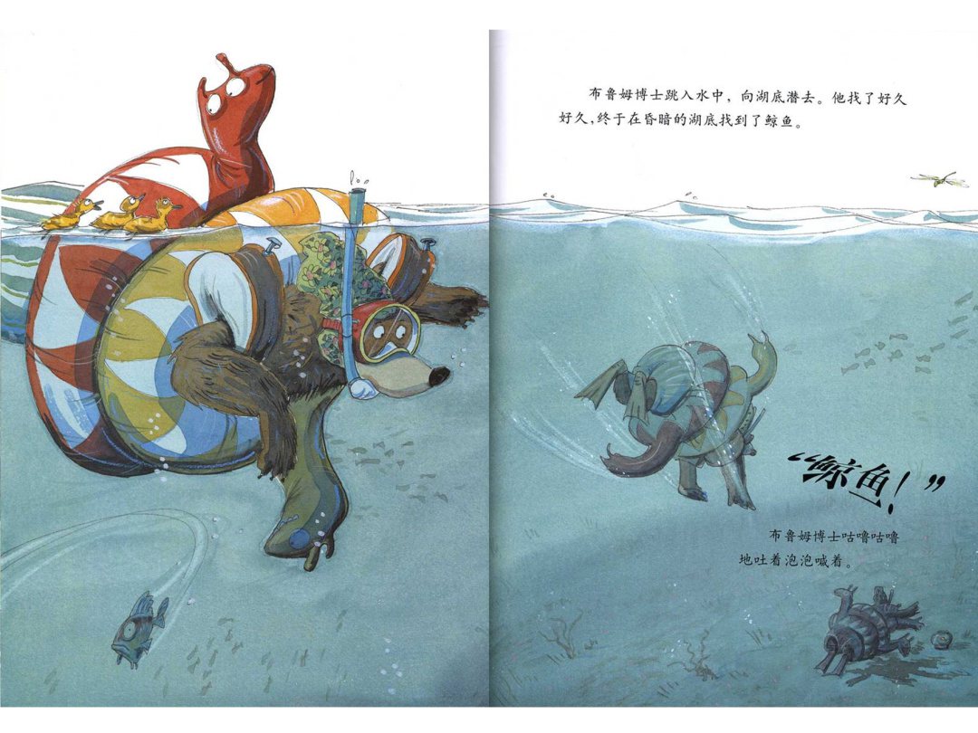 《大熊布鲁姆博士系列3-布鲁姆博士去游泳》